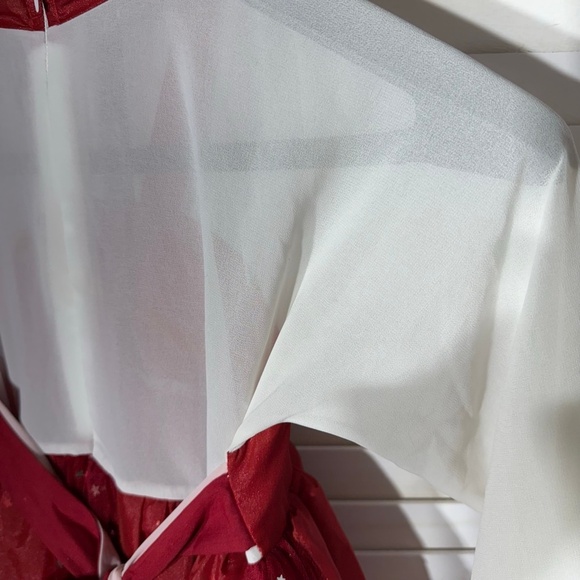 Vintage Embroidered Floral Princess Dress Burgundy Size 12 - Picture 13 of 14